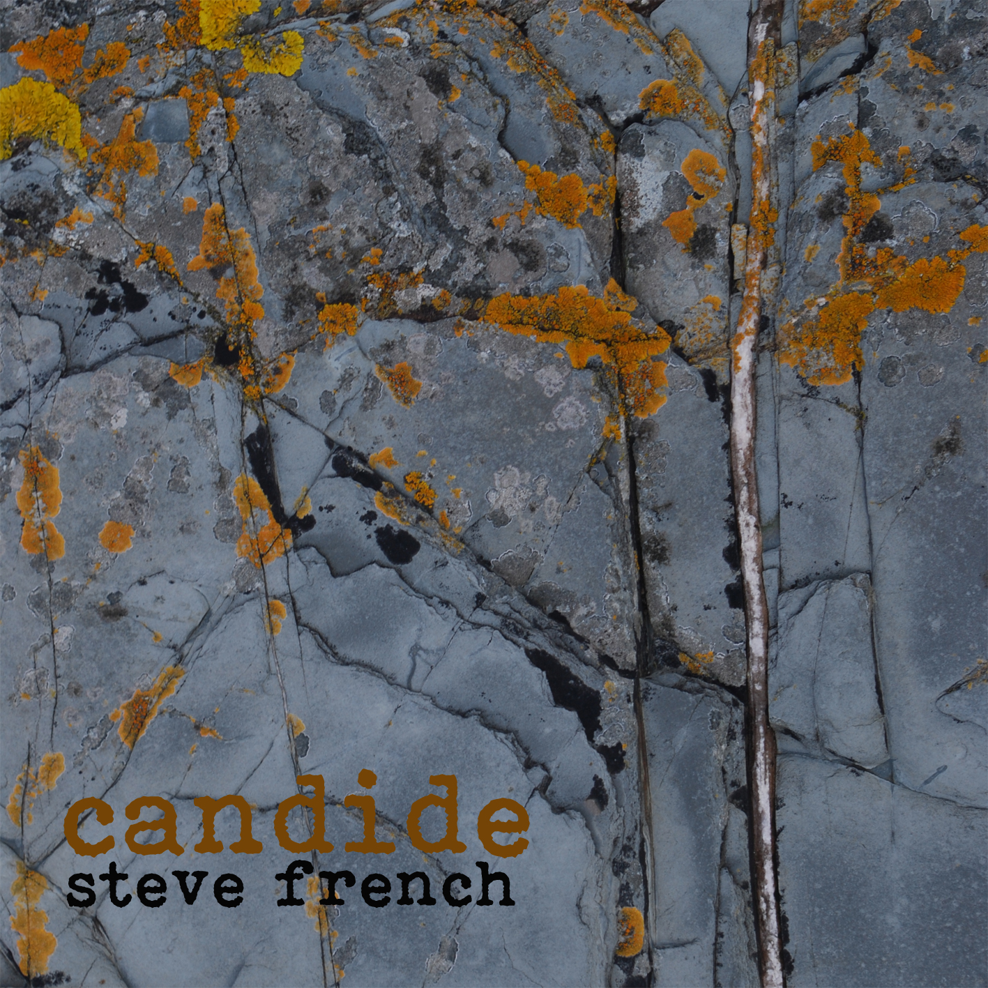 Steve French -  Candide
