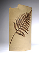 Fern Vase